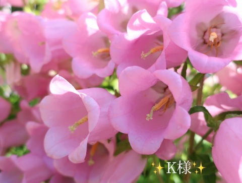小山真帆 写メ日記 7/8(火) 17:52