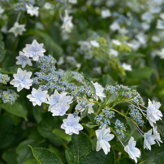 えな 写メ日記 11/4(火) 14:52