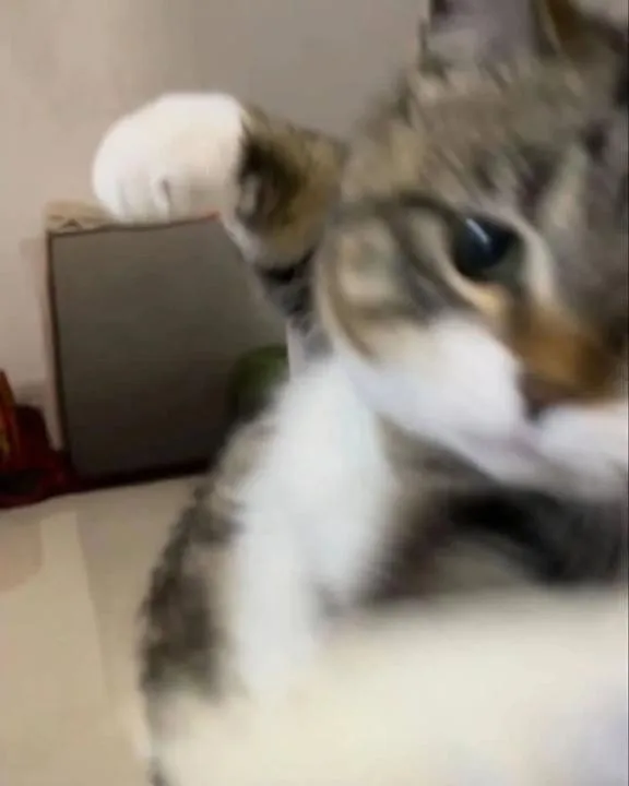 写メ日記 くう 12/29(月) 22:33