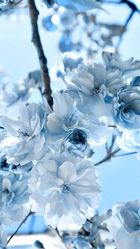 しいな 写メ日記 10/2(木) 18:34