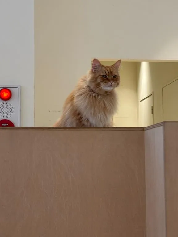 写メ日記 しいな 12/9(火) 08:39