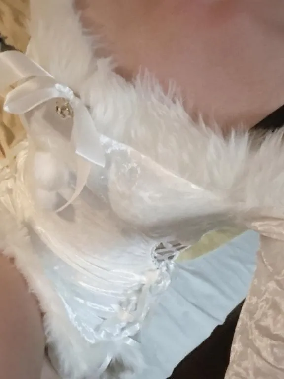 写メ日記 しいな 12/24(水) 11:17