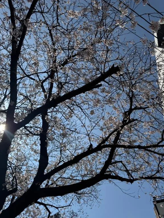 写メ日記 りんね 4/3(金) 13:02