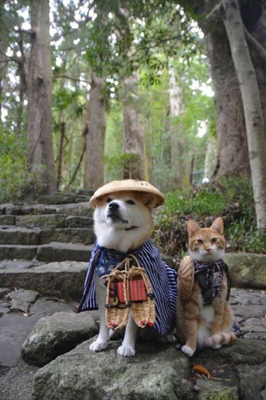 つかさ 写メ日記 9/7(日) 00:28