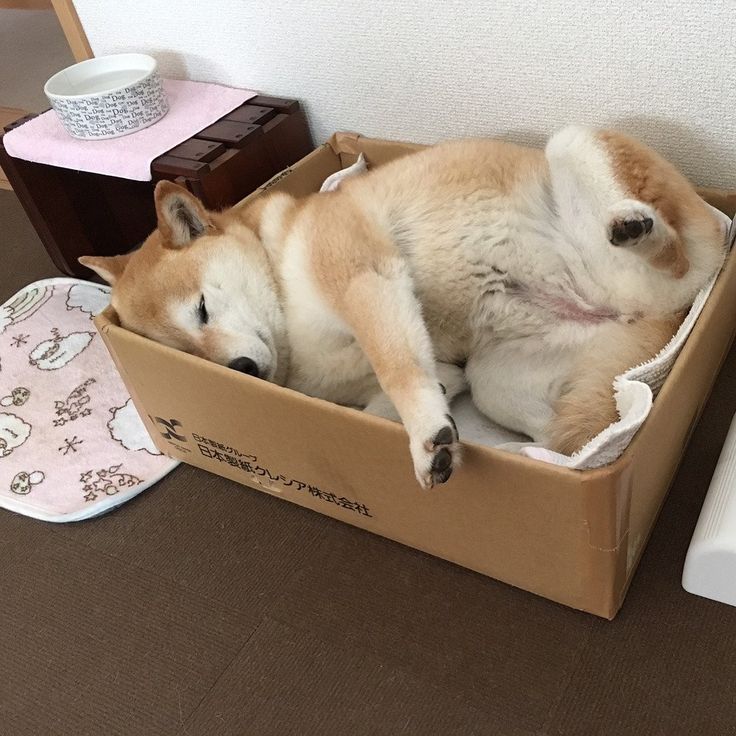 つかさ 写メ日記 10/10(金) 01:06