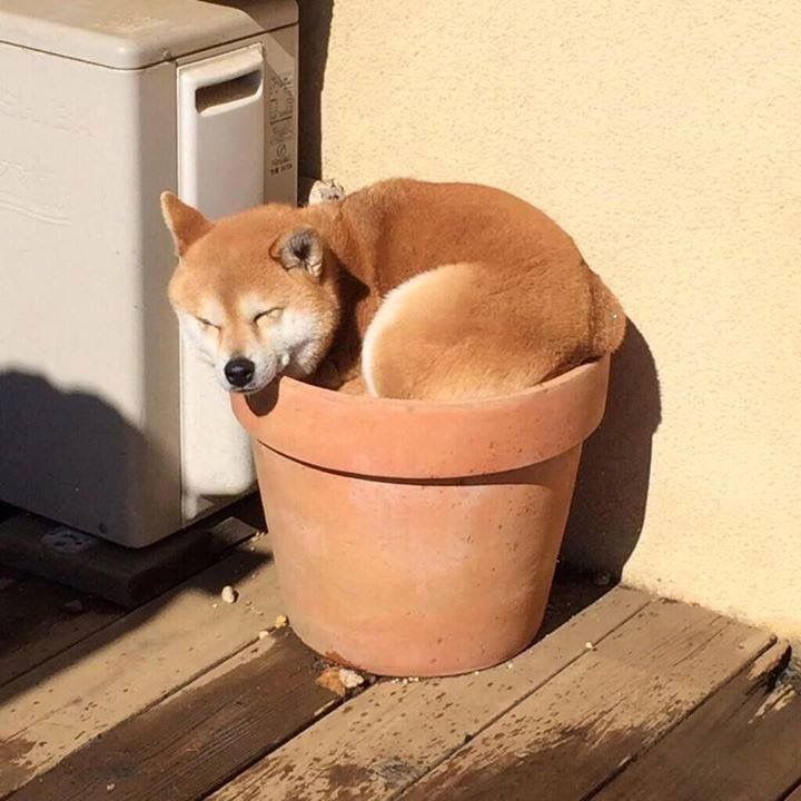 つかさ 写メ日記 10/13(月) 00:29