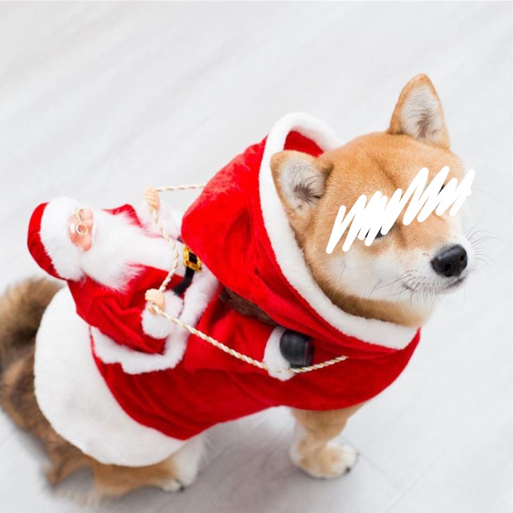 つかさ 写メ日記 10/18(土) 00:28