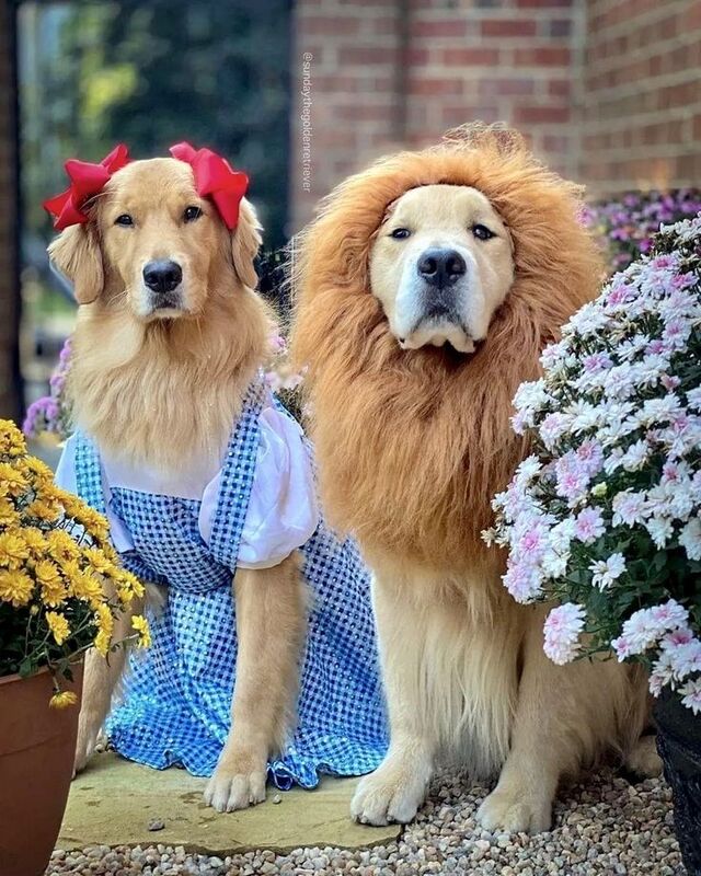 つかさ 写メ日記 10/26(日) 00:29