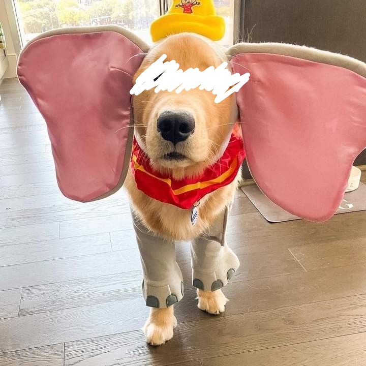 つかさ 写メ日記 10/28(火) 04:28