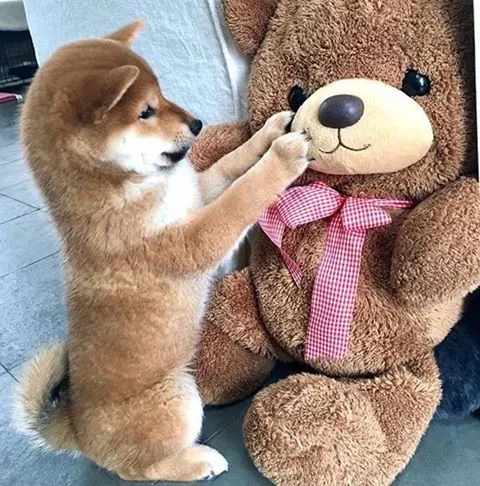 写メ日記 つかさ 12/26(金) 00:28