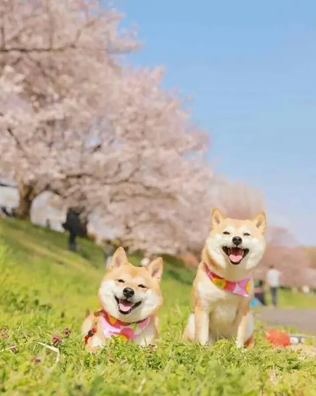 写メ日記 つかさ 1/8(木) 00:31