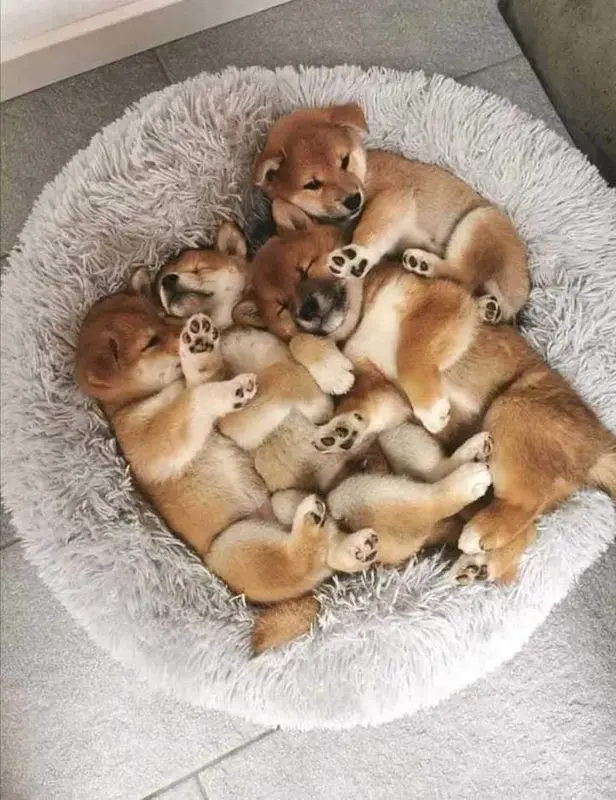 写メ日記 つかさ 1/9(金) 00:31