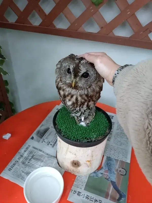 写メ日記 あい 2/5(木) 08:00