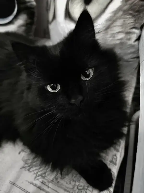 写メ日記 みう 1/29(木) 22:29