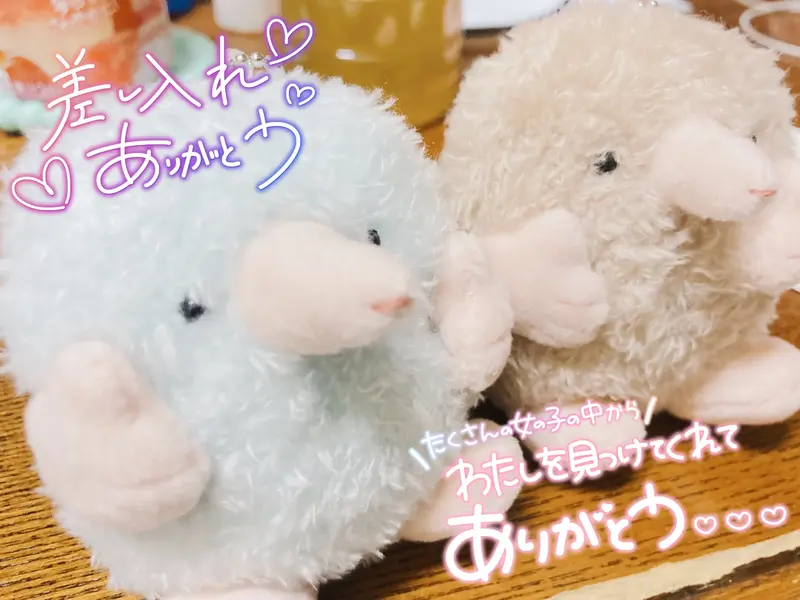 写メ日記 みう 7/21(火) 00:34