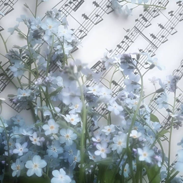 れい 写メ日記 8/14(木) 14:26