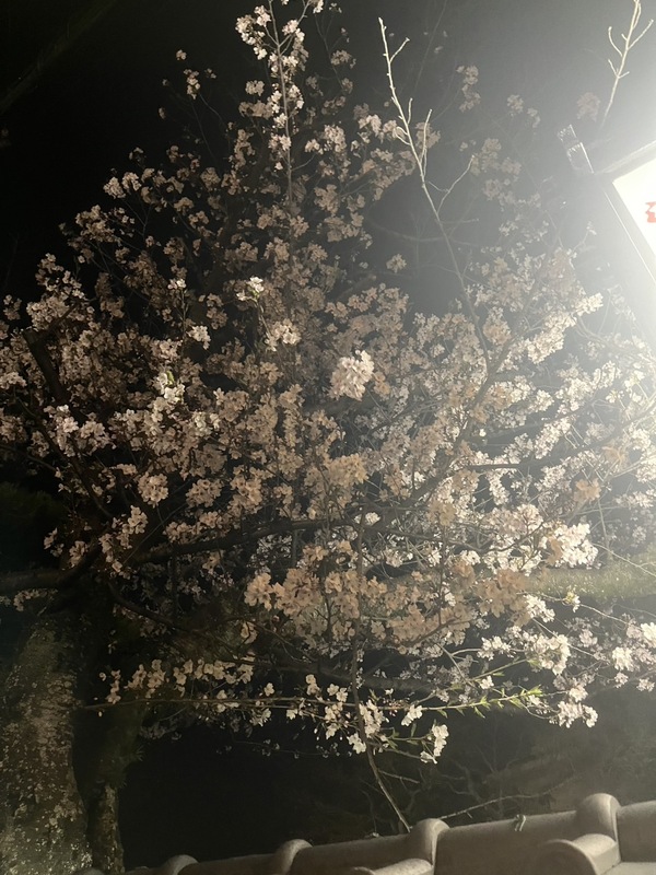 ふうか 写メ日記 10/5(日) 02:11