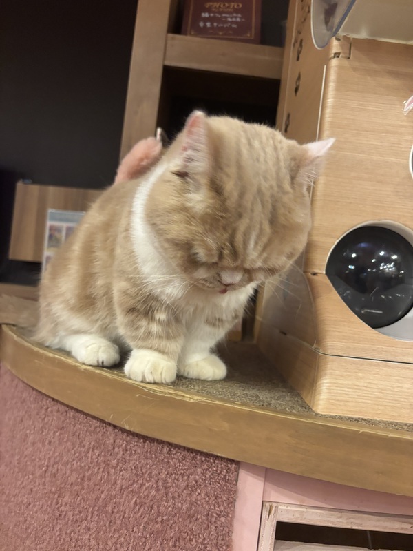 さく 写メ日記 5/23(金) 00:19