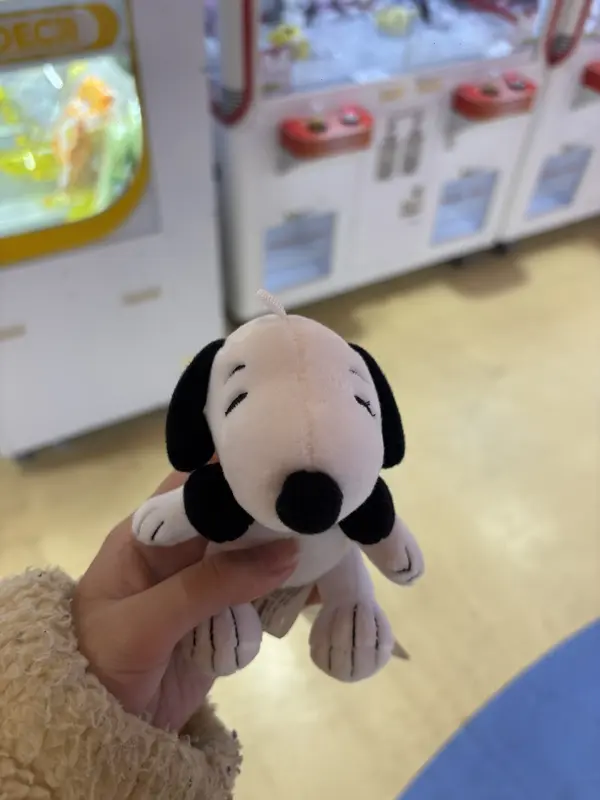 写メ日記 さく 12/31(水) 02:22