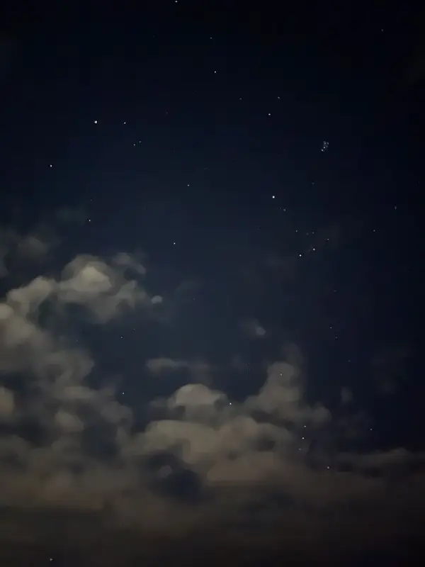 写メ日記 さく 2/26(木) 03:46