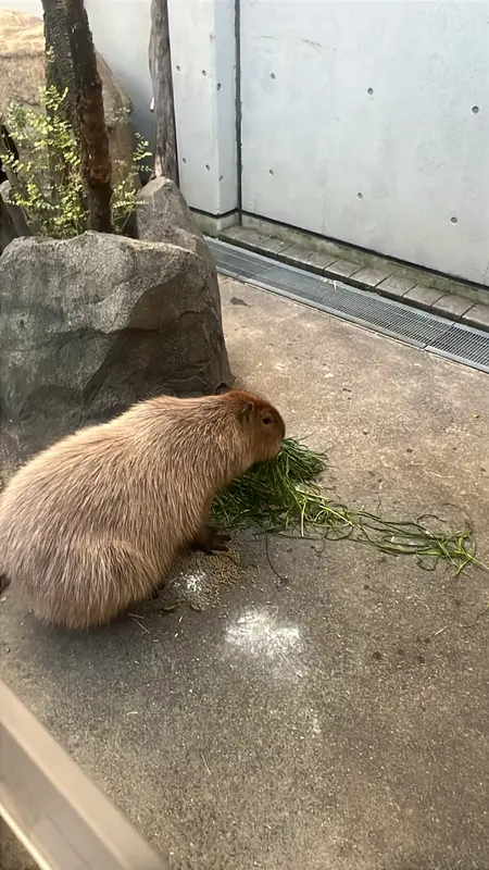 写メ日記 あん 2/1(日) 20:19