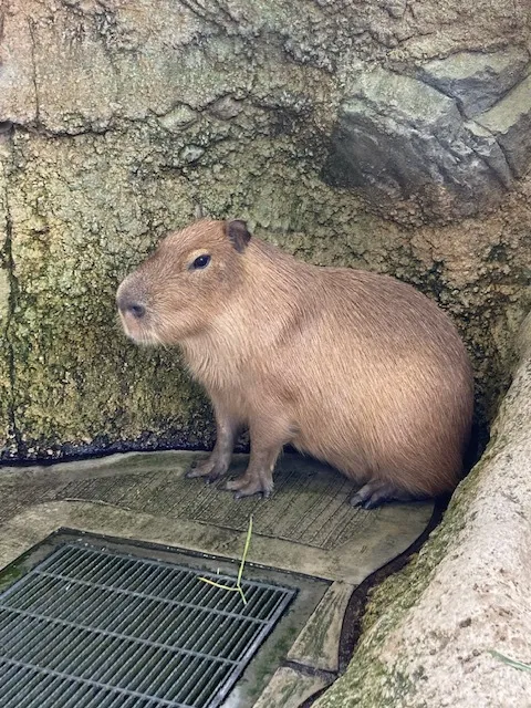 写メ日記 なほ 3/18(水) 22:47