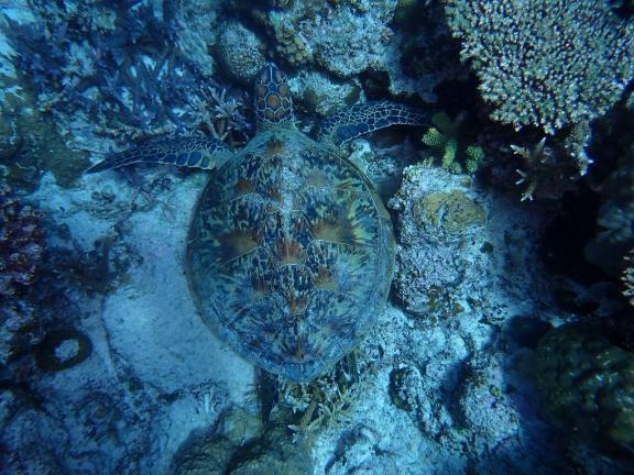 あゆみ 写メ日記 10/27(月) 21:54