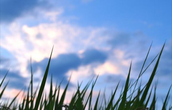 ゆいら 写メ日記 11/19(水) 11:01