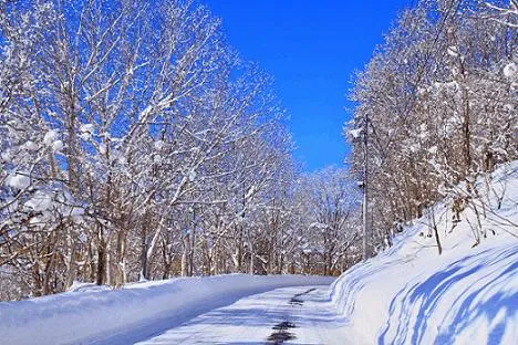写メ日記 ここは 12/4(木) 16:18
