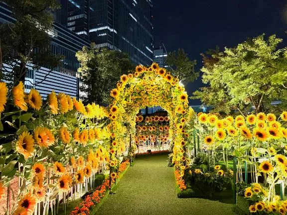 写メ日記 ここは 12/12(金) 00:57