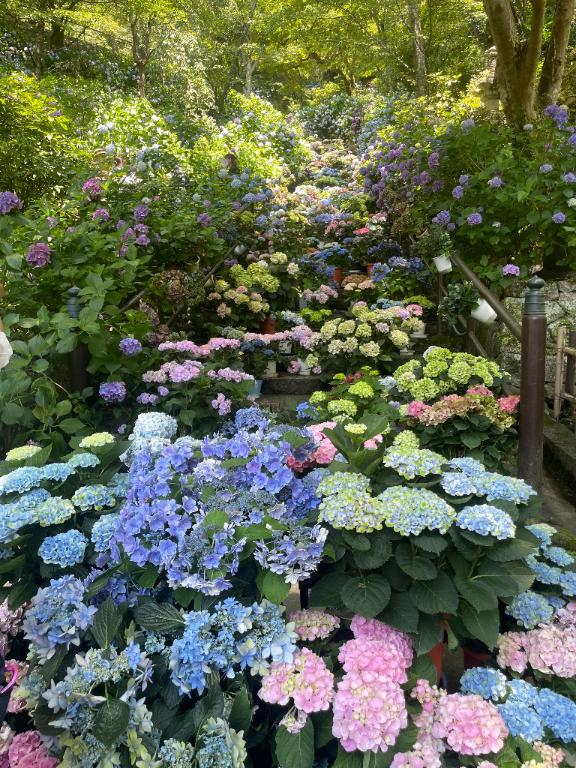 たると 写メ日記 6/30(月) 11:58