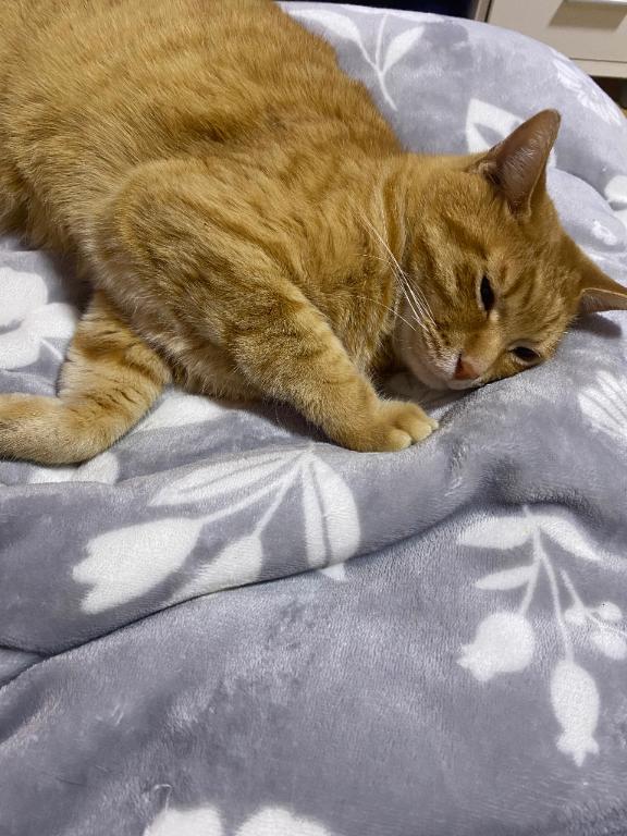 くいん 写メ日記 5/15(木) 17:34