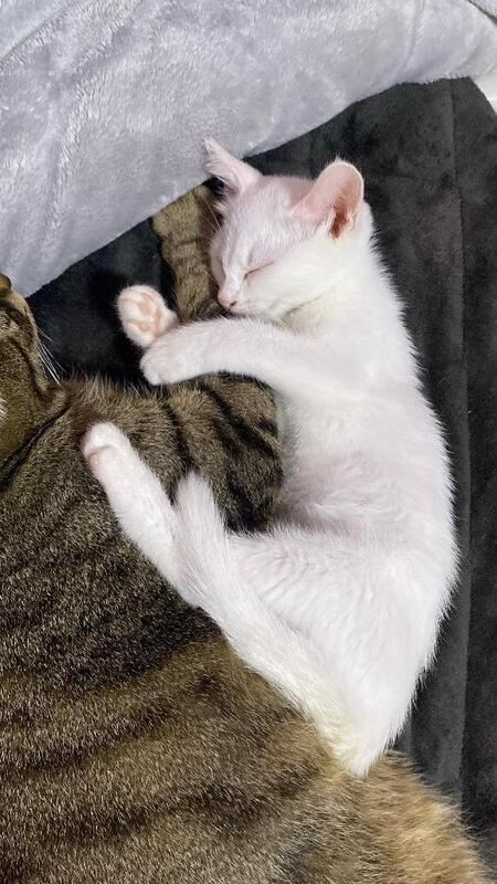 くいん 写メ日記 11/26(水) 18:49