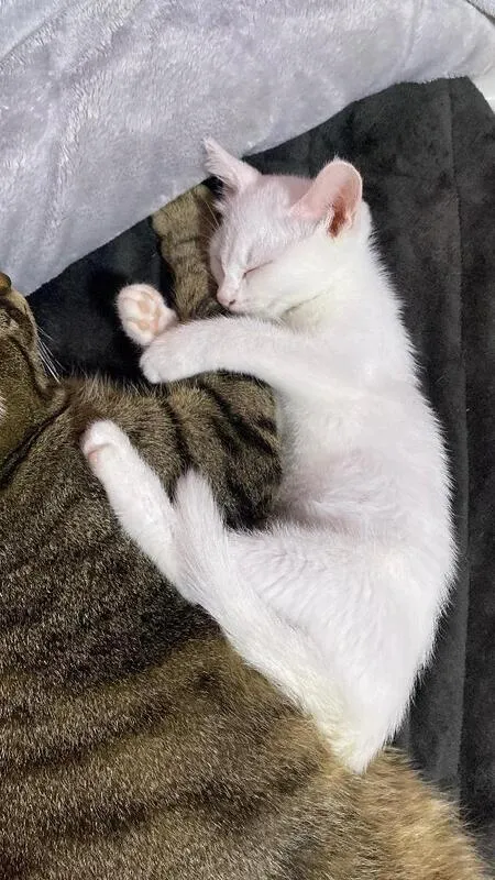 写メ日記 くいん 11/26(水) 18:49