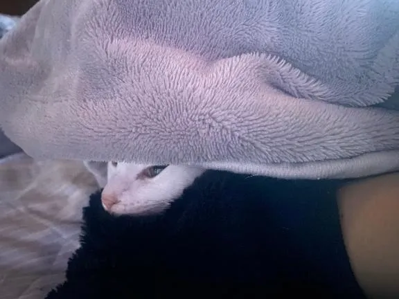 写メ日記 くいん 12/26(金) 21:46