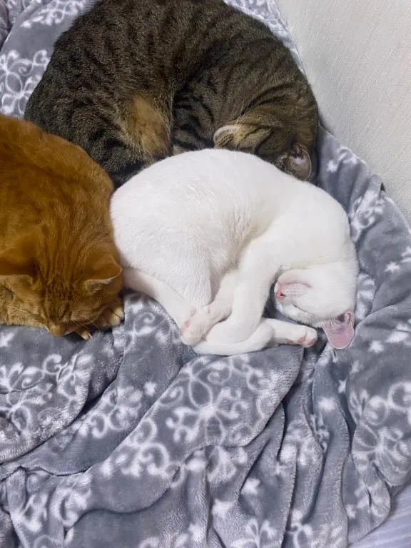 写メ日記 くいん 12/29(月) 11:01