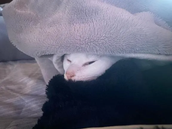 写メ日記 くいん 1/23(金) 09:07