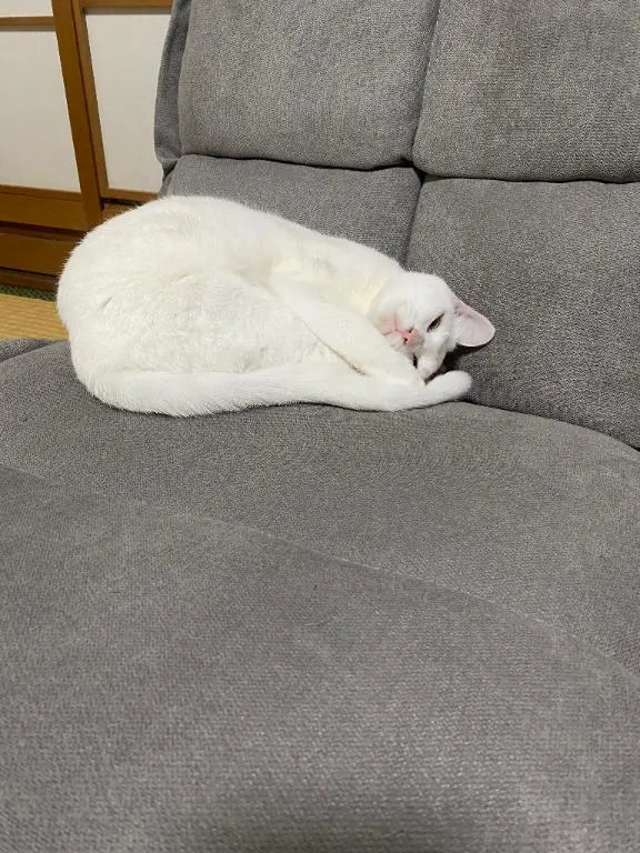 写メ日記 くいん 4/25(土) 14:32