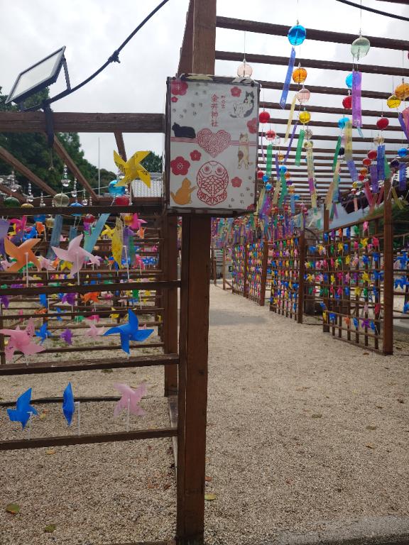 れいこ 写メ日記 9/29(月) 08:22