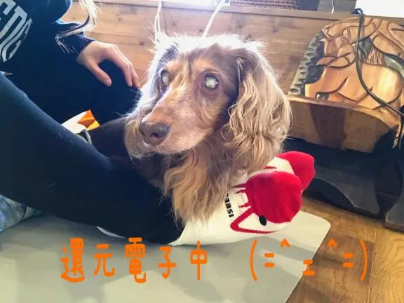 写メ日記 ちふゆ 12/9(火) 15:24