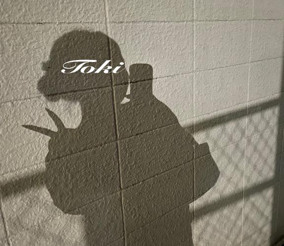 とき 写メ日記 11/2(日) 23:42