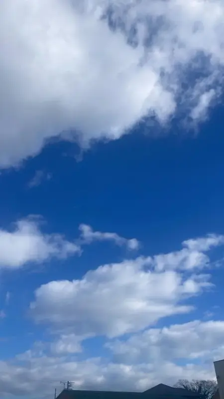 写メ日記 とき 2/4(水) 10:01