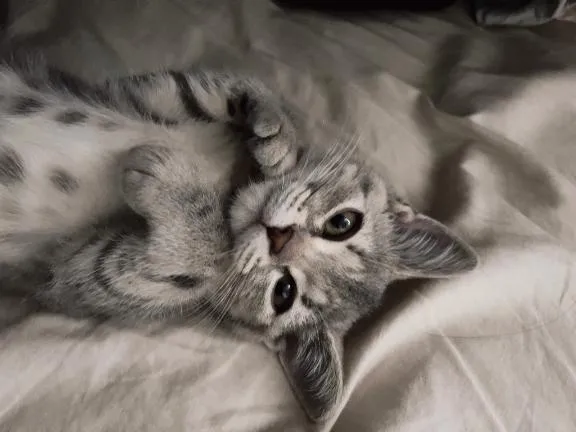 写メ日記 りえな 1/8(木) 02:48