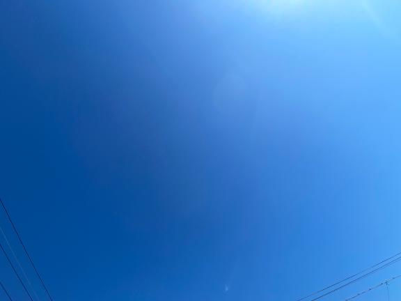 みずき 写メ日記 11/16(日) 11:48