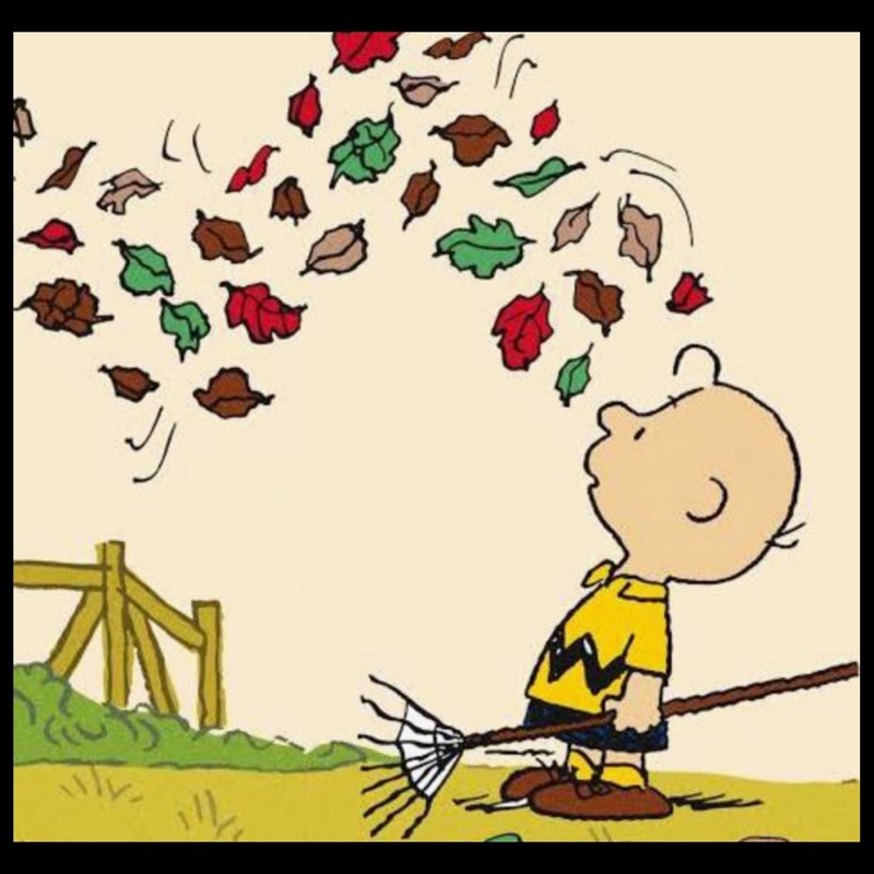 ありす 写メ日記 11/5(水) 16:32