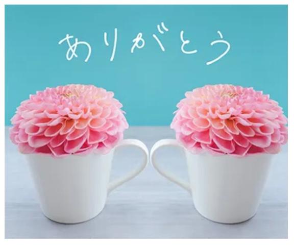 のあ 写メ日記 11/8(土) 11:49