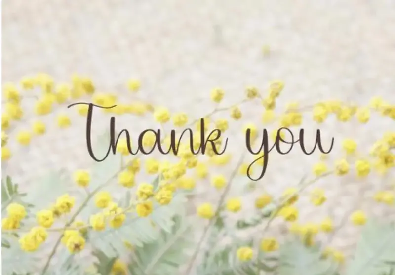 写メ日記 のあ 12/31(水) 13:32