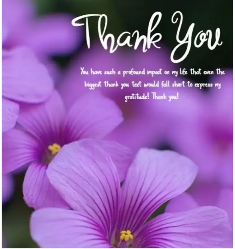 写メ日記 のあ 3/3(火) 00:52