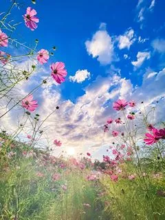 写メ日記 ともこ 12/15(月) 10:07