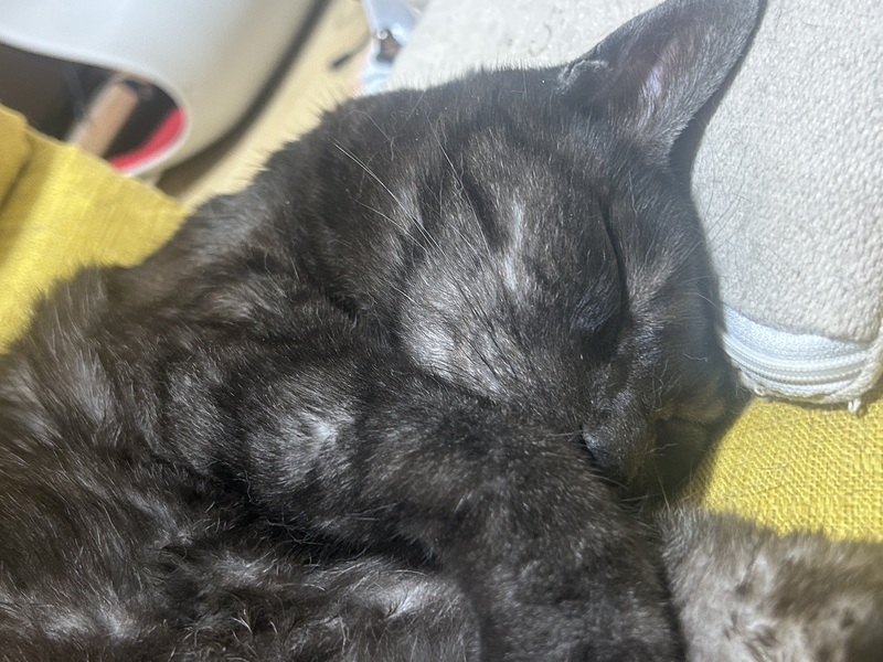 かなう 写メ日記 5/19(月) 17:54